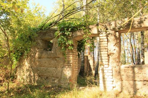M. Bartczak "Hamer - pozostałości domów z parcelacji przedwojennej majątku"