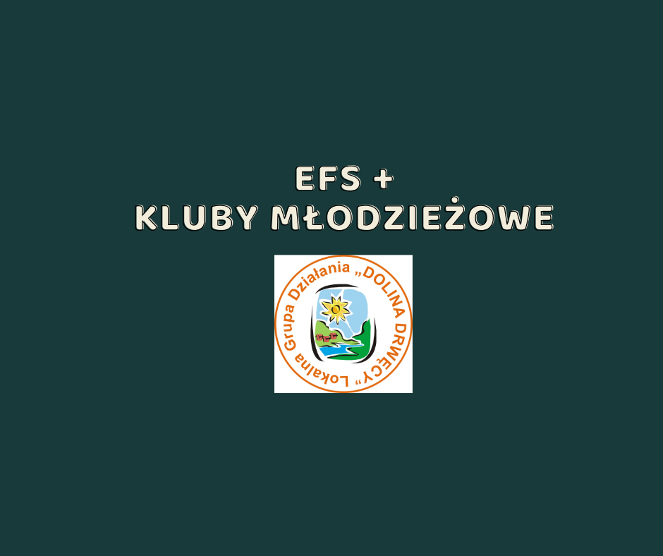 Ogłoszenie o naborze wniosków nr 1/2025/G/EFS+